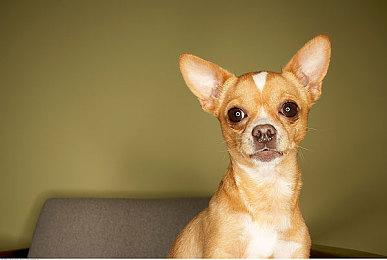 传闻：Netflix取消部分员工查看同事薪酬权利